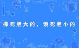 路沖圖解 撐死膽大的 餓死膽小的